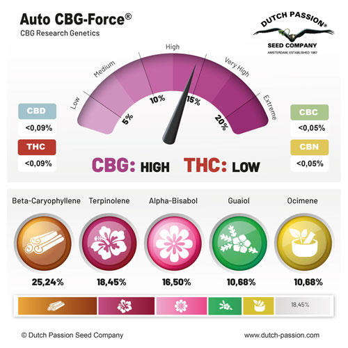 Auto CBG Force autoflower cannabinoinds and terpenes